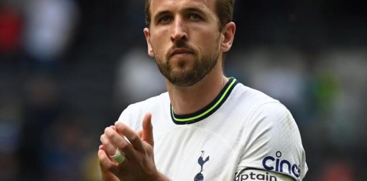 Berbatov : « Kane sera un excellent achat pour le Real Madrid